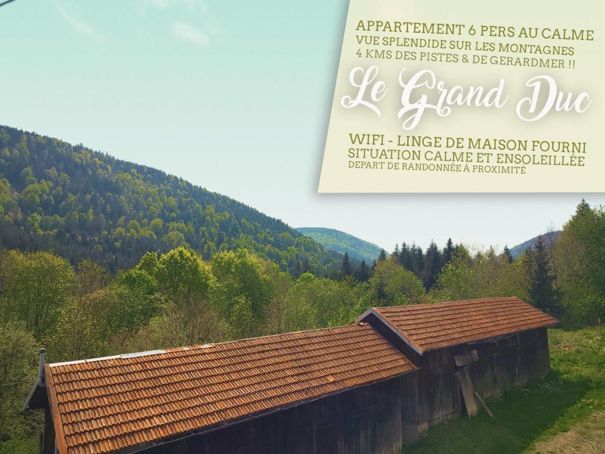 ⁂⁂ Le Grand Duc Appartement Cledicihome / Magnifique Vue Sur Les Montagnes / 4 Kms De Gerardmer ! ⁂⁂ Rochesson Exterior foto