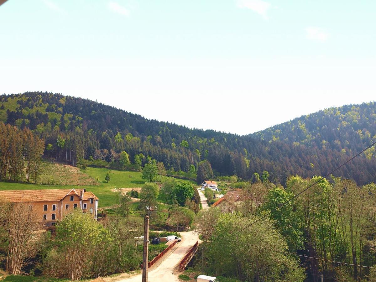 ⁂⁂ Le Grand Duc Appartement Cledicihome / Magnifique Vue Sur Les Montagnes / 4 Kms De Gerardmer ! ⁂⁂ Rochesson Exterior foto